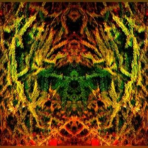 Mary Jane - Photography wall art